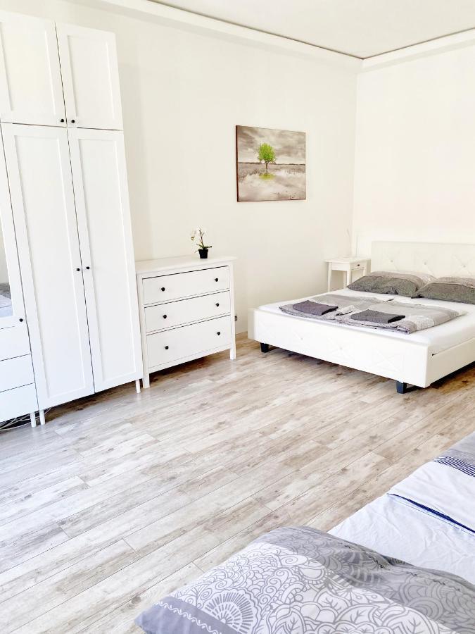 Luxury Apartment In The Centre Ac Parking Garden Βουδαπέστη Εξωτερικό φωτογραφία